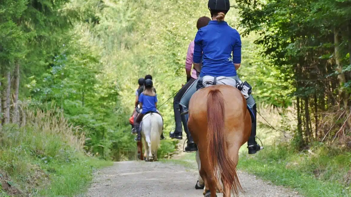 Tourisme dans la Sarthe : profitez de vacances inoubliables près du Mans !